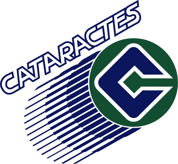 shawinigan cataractes 1990-1998 primary logo iron on heat transfer